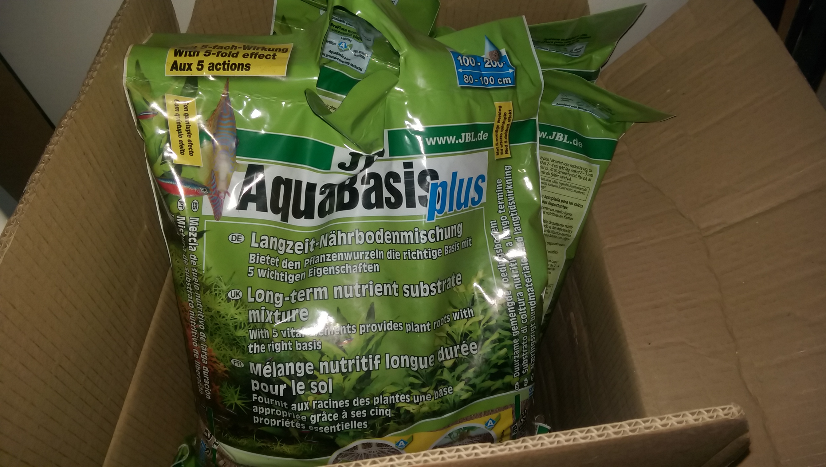 Aquascaping - 900 L - 6 ème semaine! - Réplique Pavel Bautin - Page 22 3_IMAG