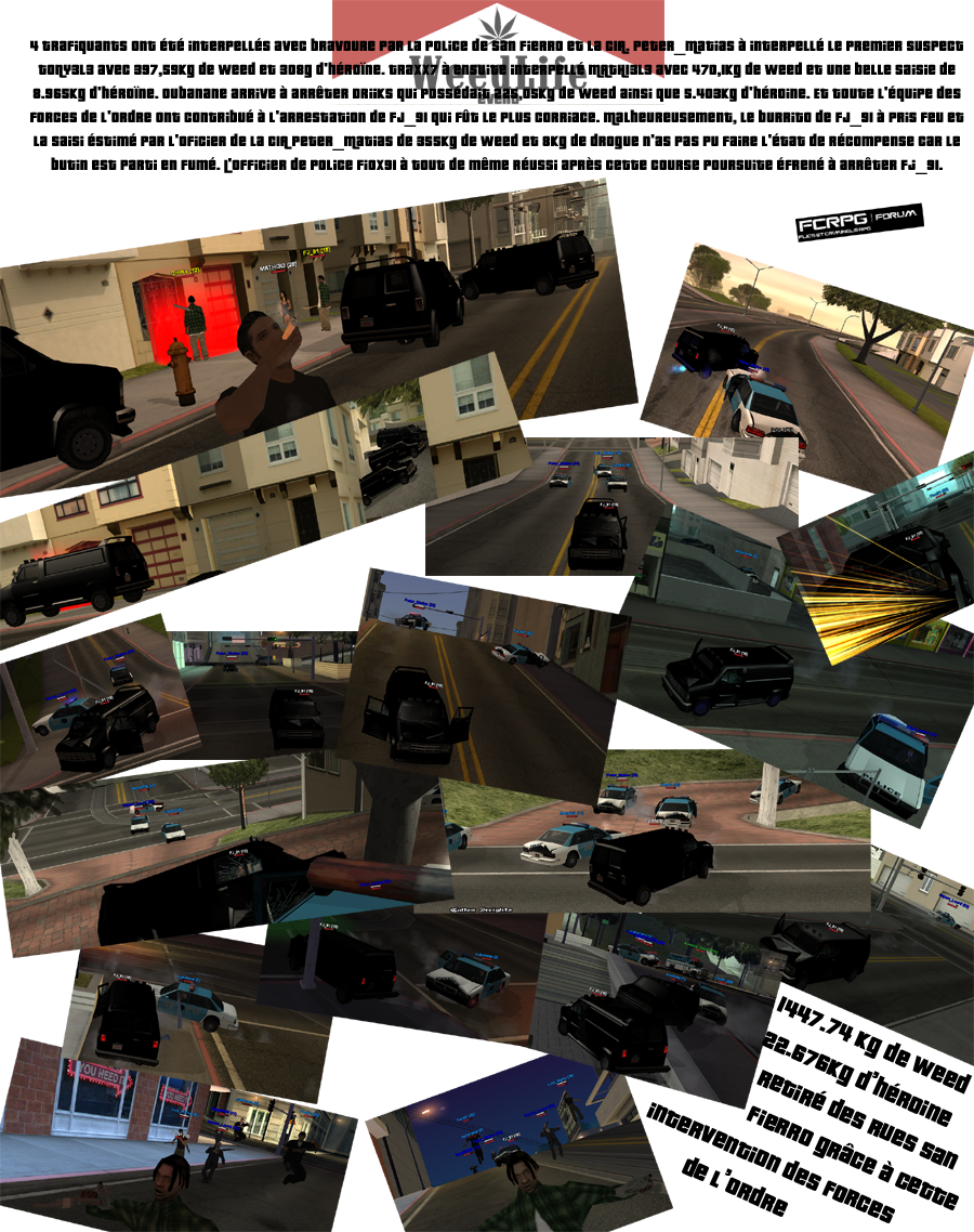weedlife_event-Numero_2.PT.png